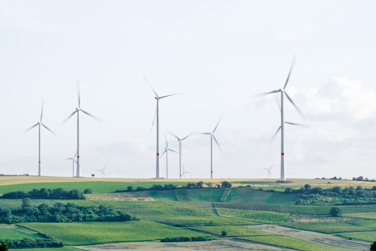 Habecks Klimaprogramm stoßt der Wirtschaft sauer auf